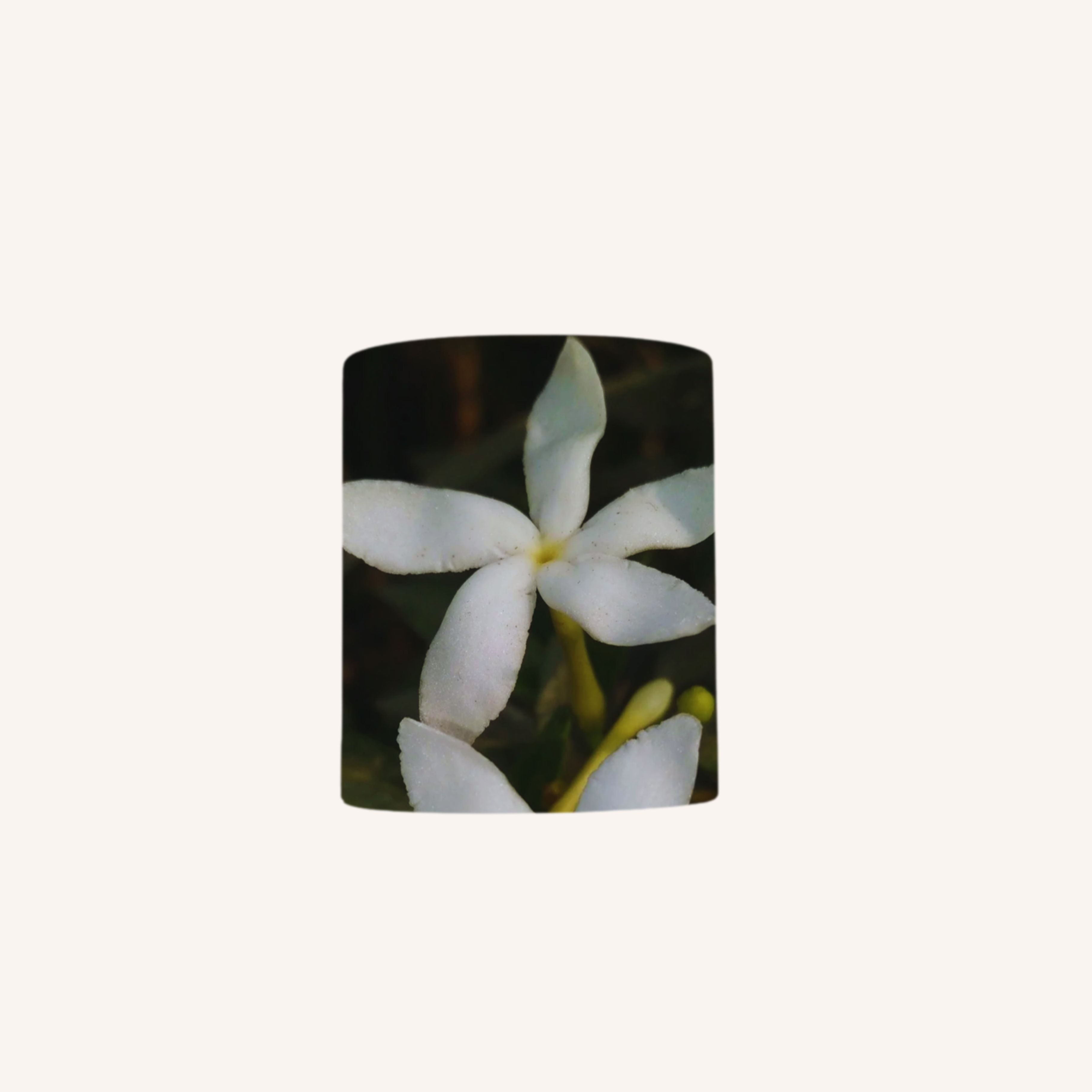 Jasmine & Vetiver Soy Wax Candle - 400ml