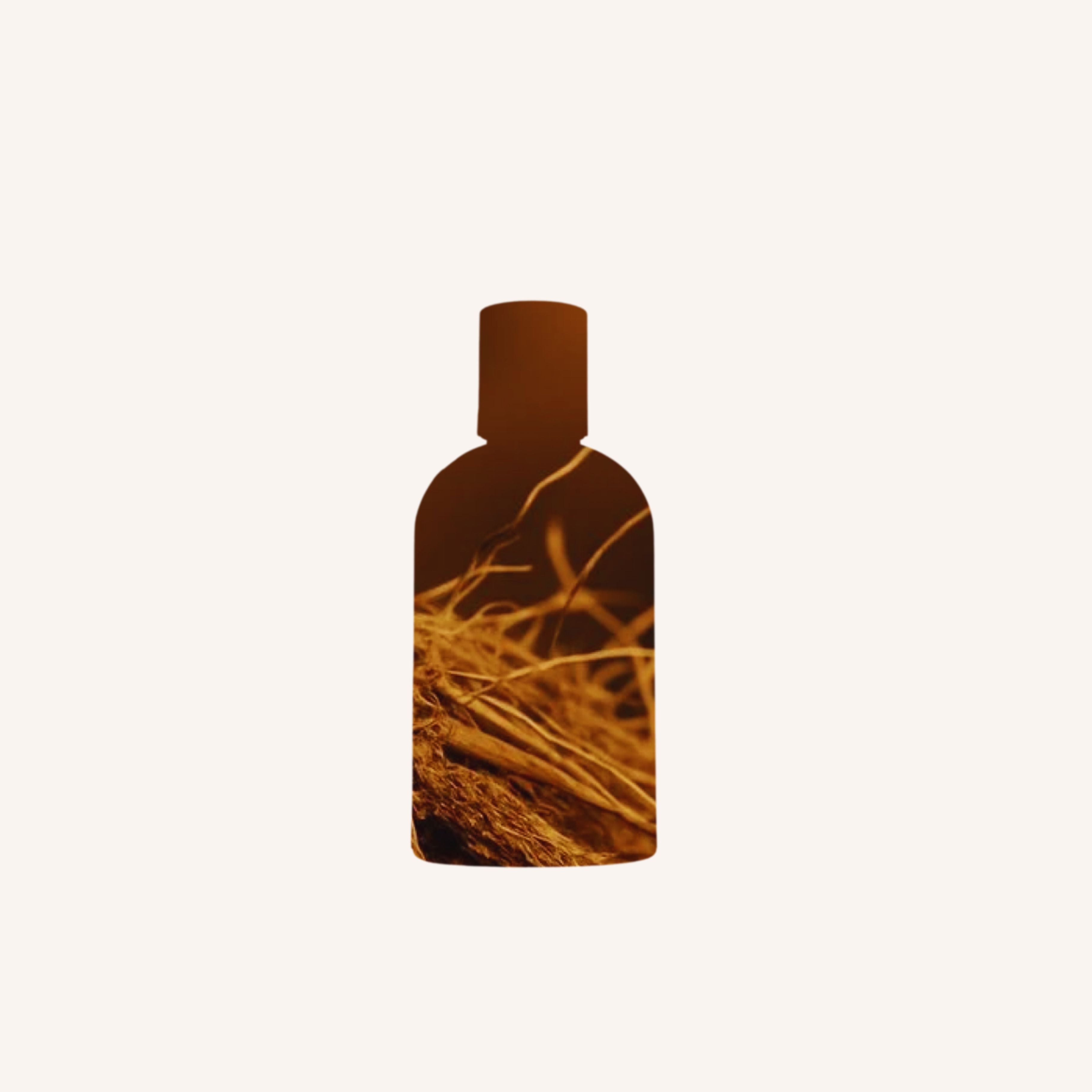 Ginger & Vetiver Eau de Parfum - 100ml