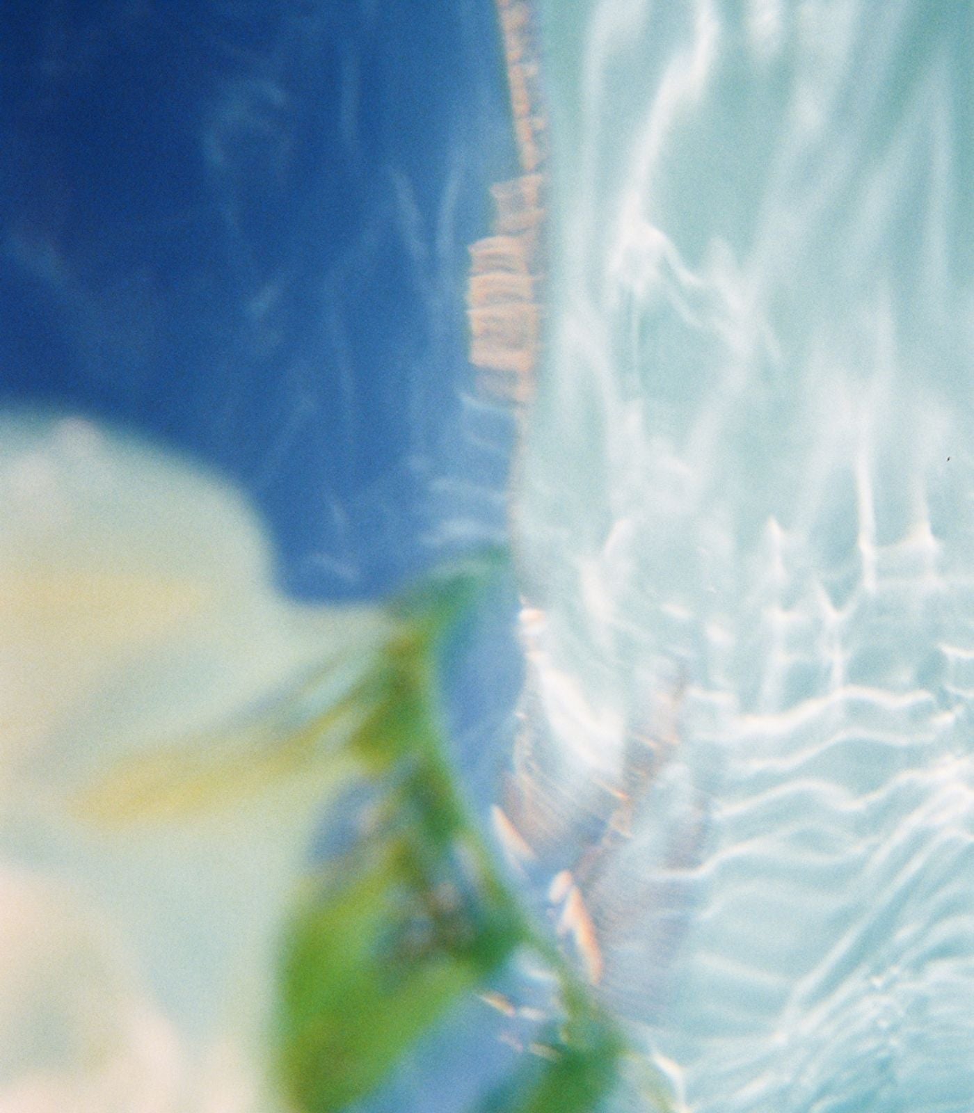 Jasmine  & Vetiver