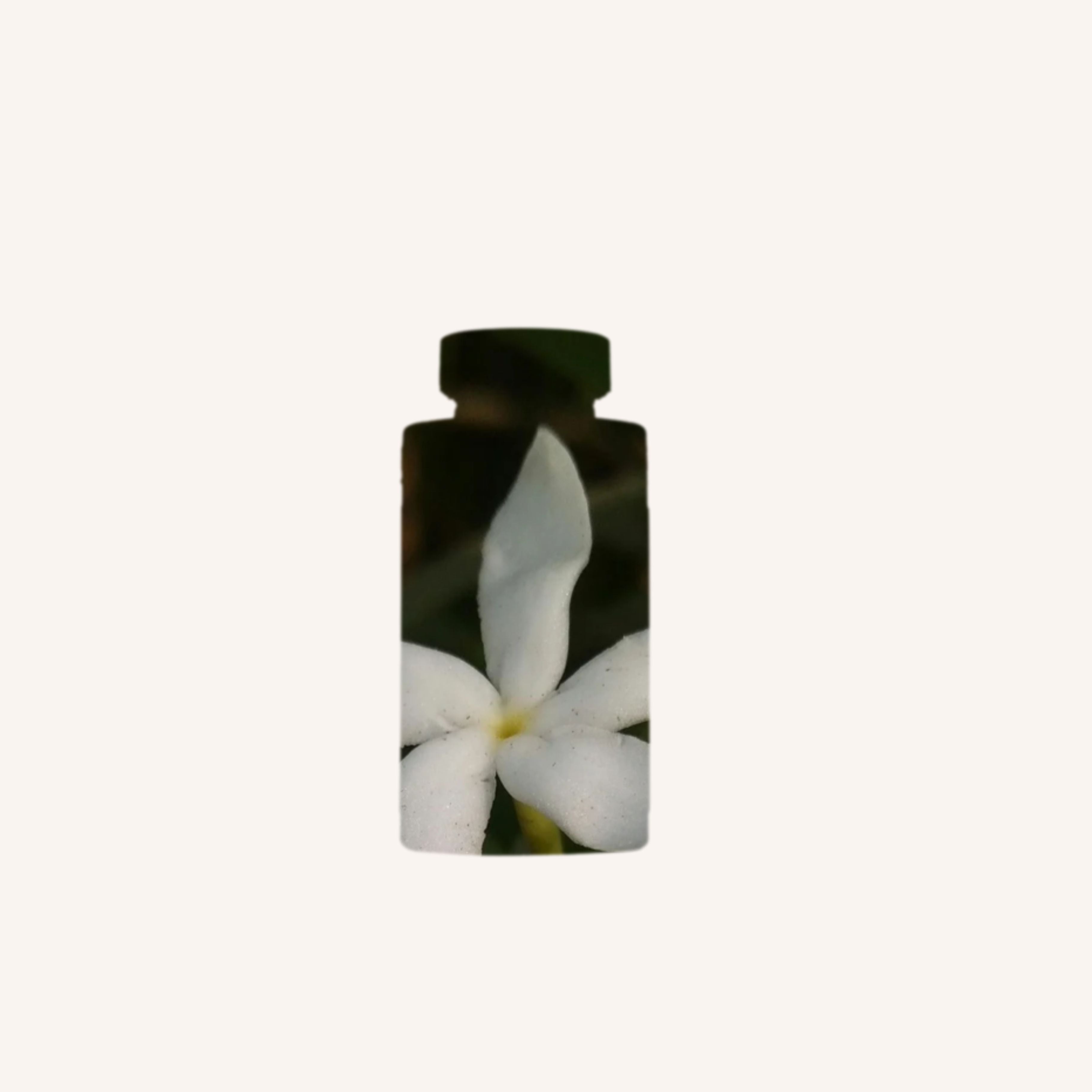 Jasmine & Vetiver Air Diffuser Refill - 120ml