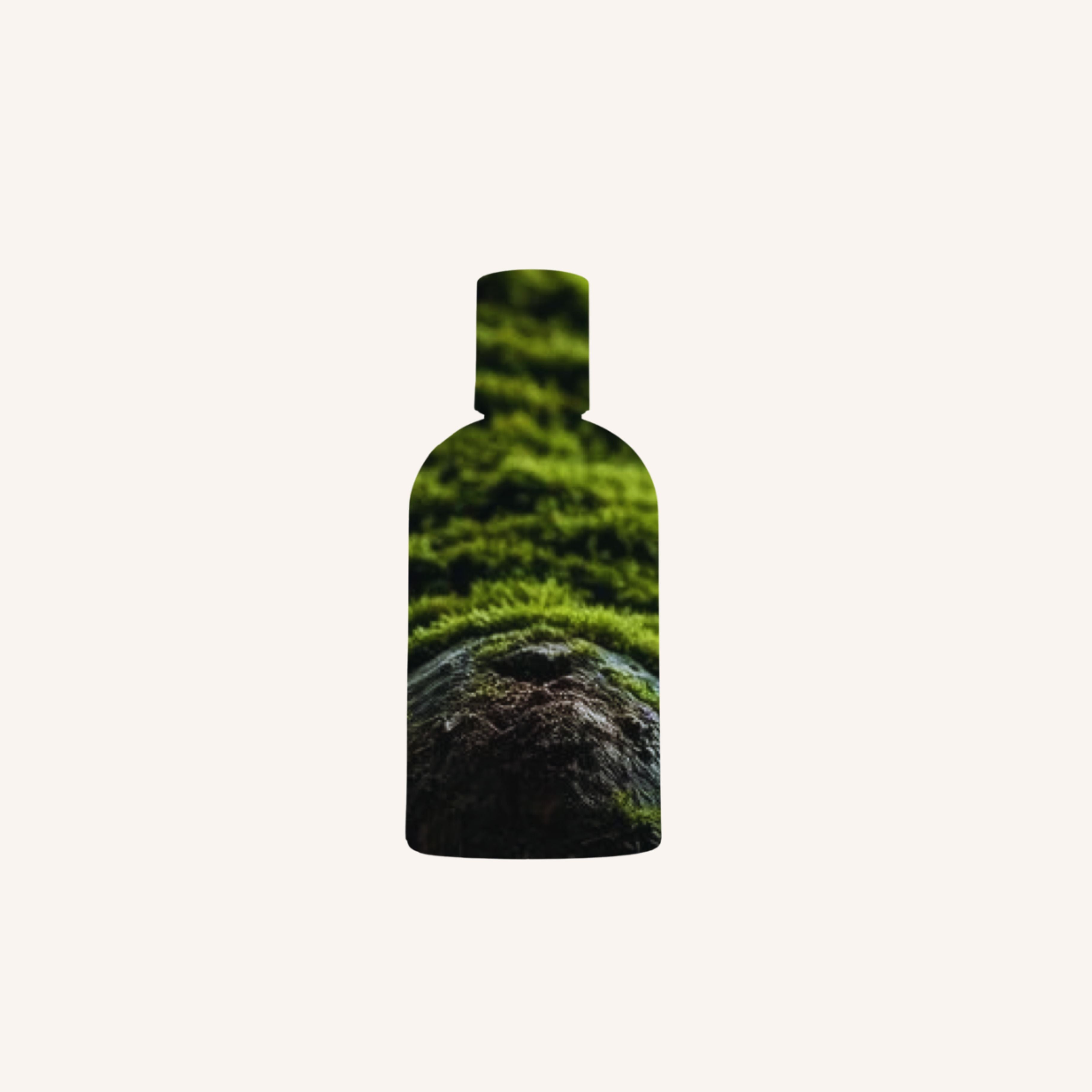 Bergamot & Moss Eau de Parfum - 100ml