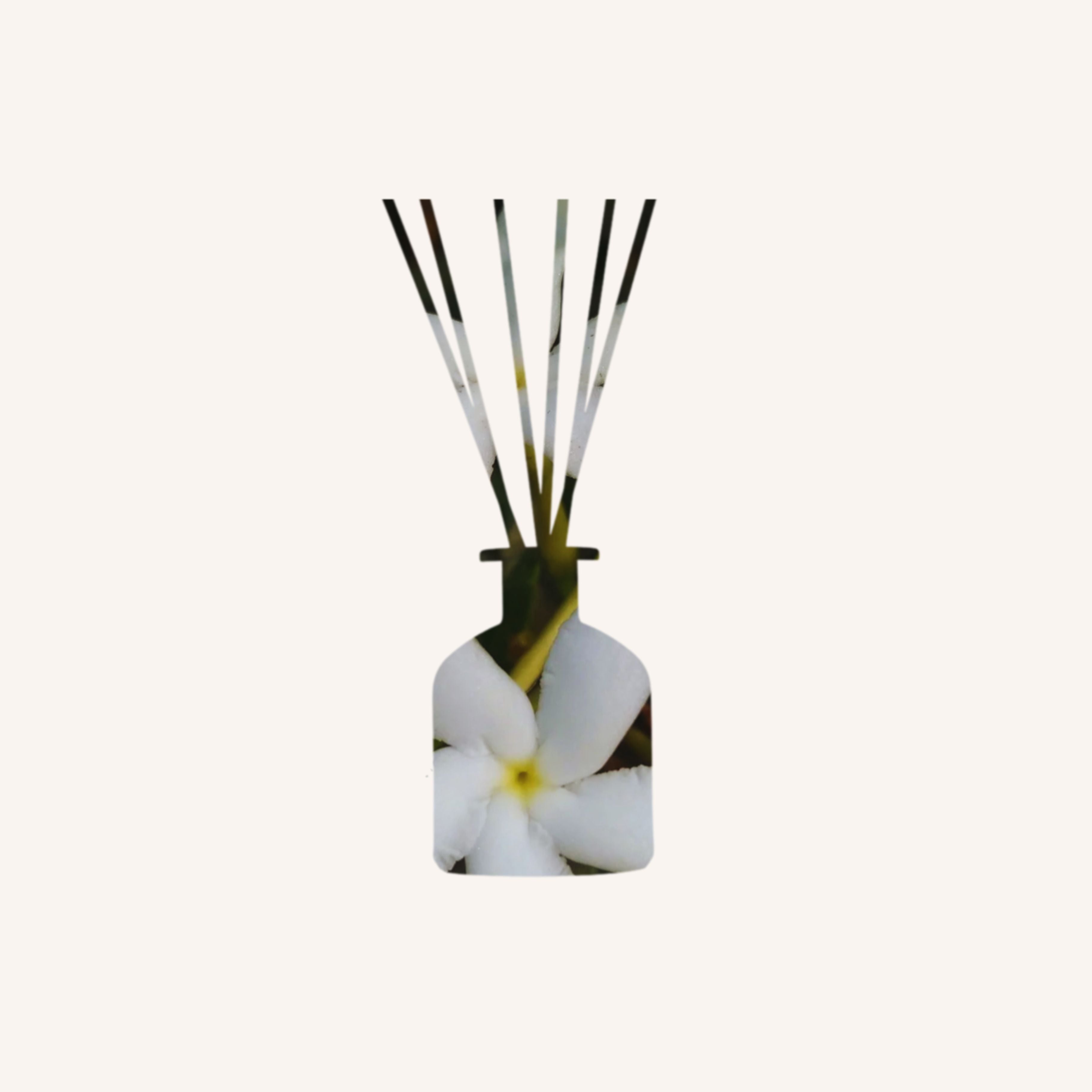 Jasmine & Vetiver Reed Diffuser - 200ml